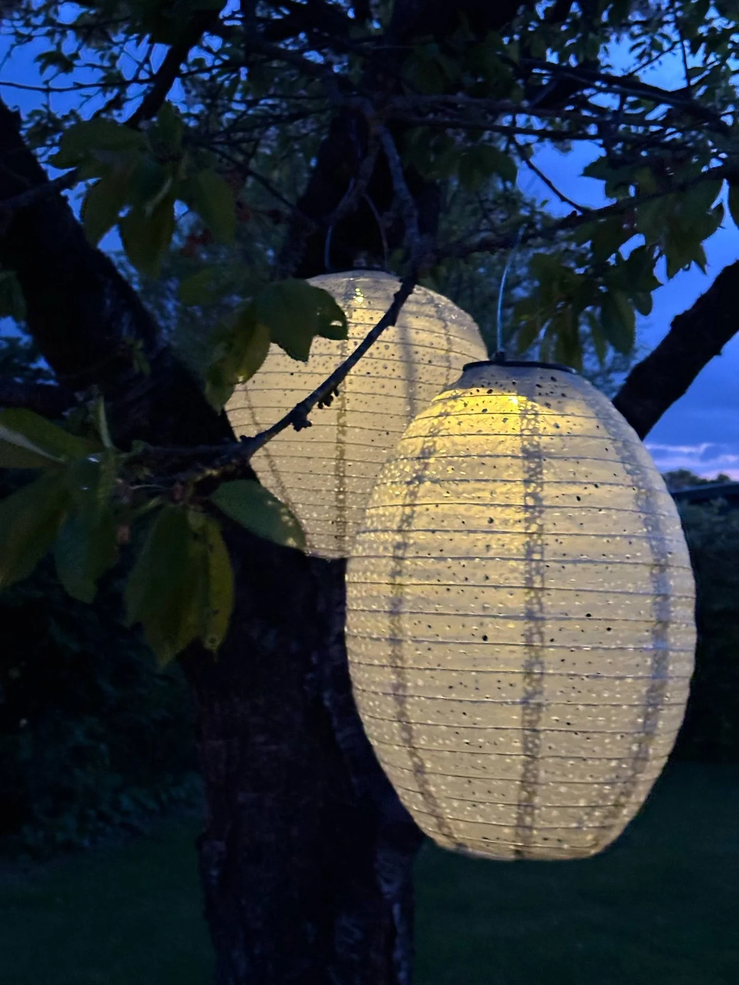 Lampe med solceller - Dusty green
