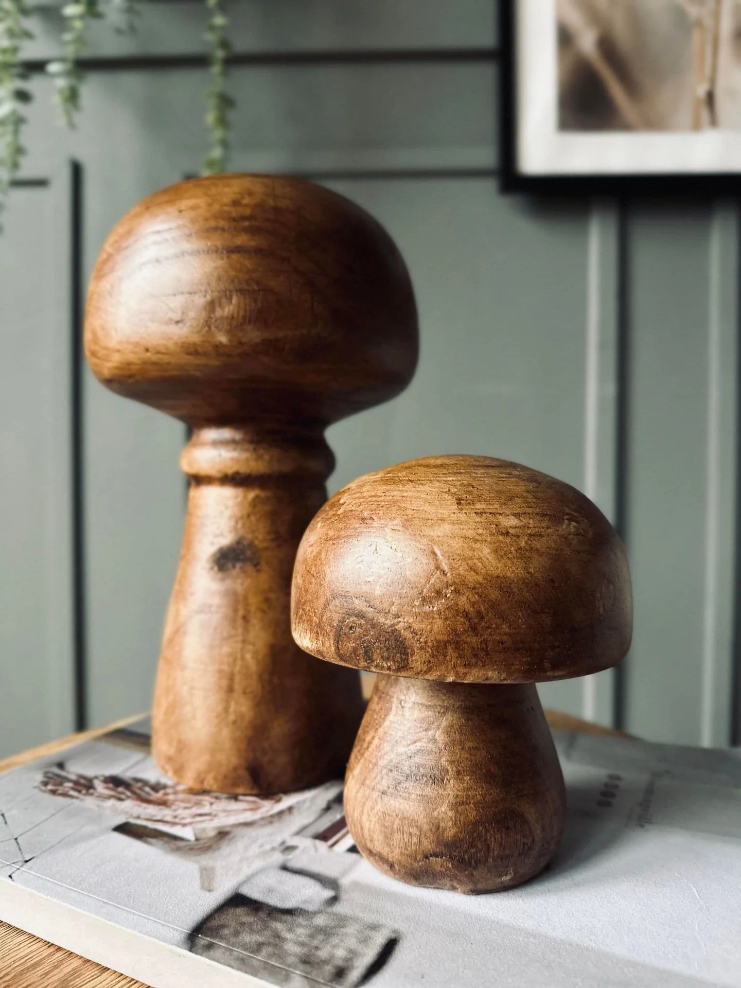 Mushroom wood 27cm