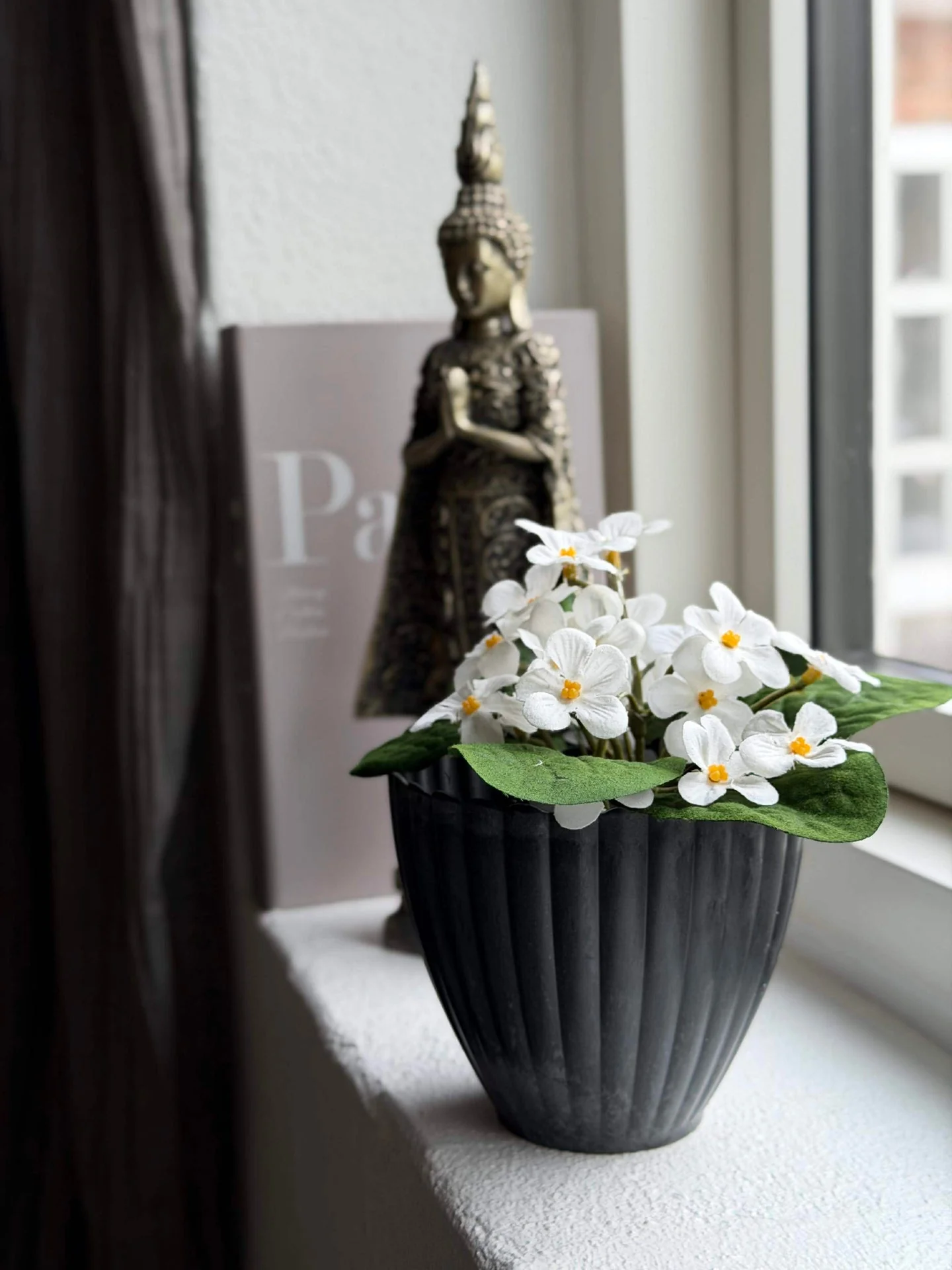 Saintpaulia i potte - flere farger - Image 3