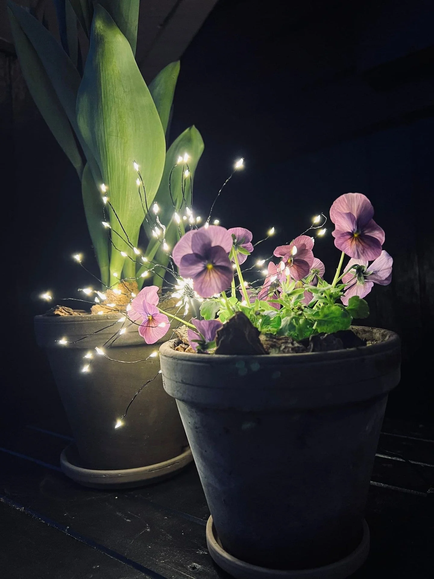 Stjernekaster med 120 LED-lys - timerfunksjon - Image 10