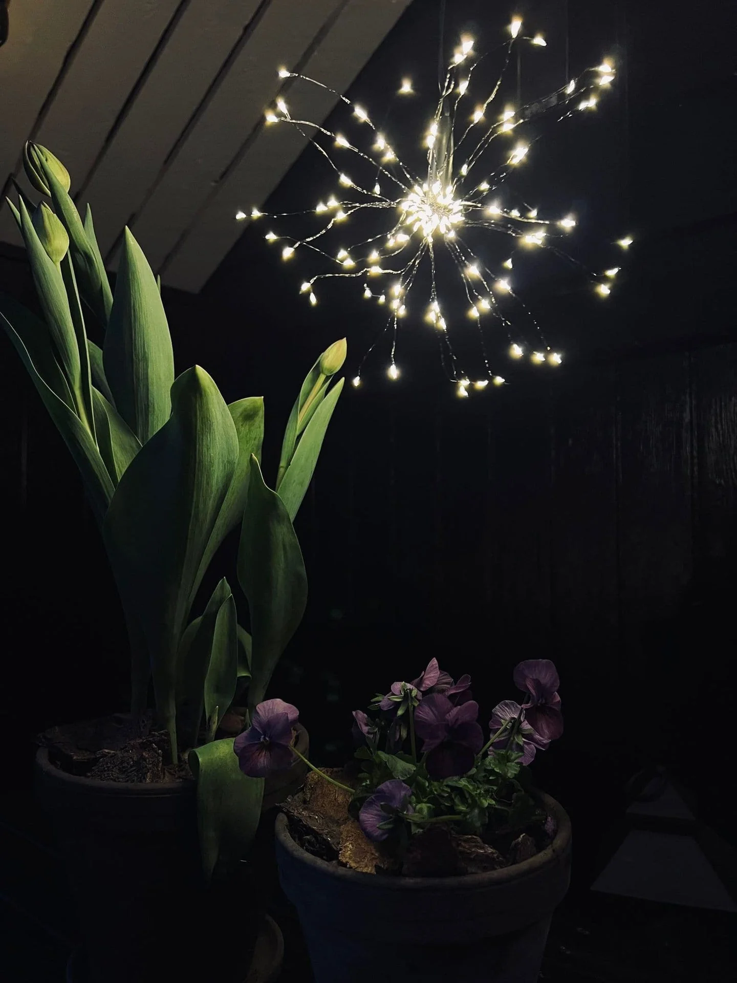 Stjernekaster med 120 LED-lys - timerfunksjon - Image 2