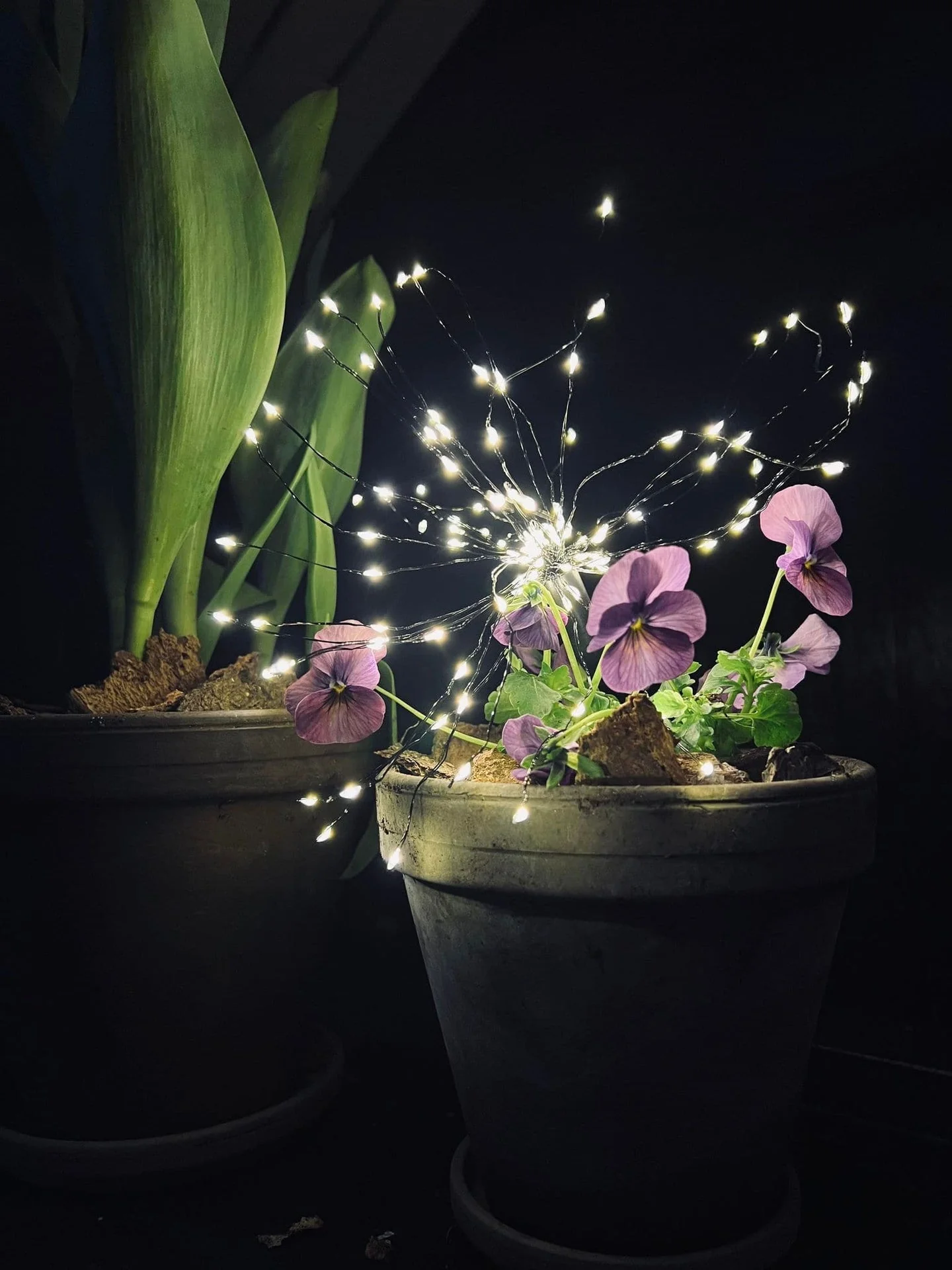 Stjernekaster med 120 LED-lys - timerfunksjon - Image 3