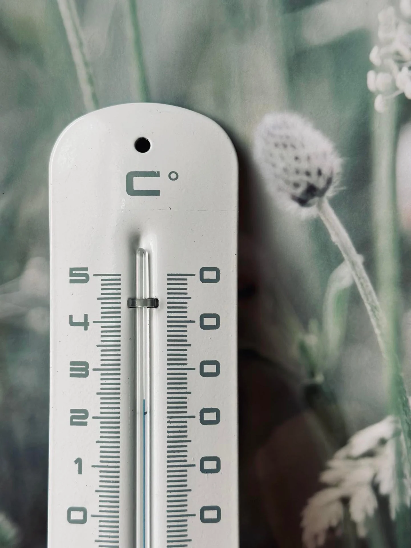 Termometer – Hvit - Image 2