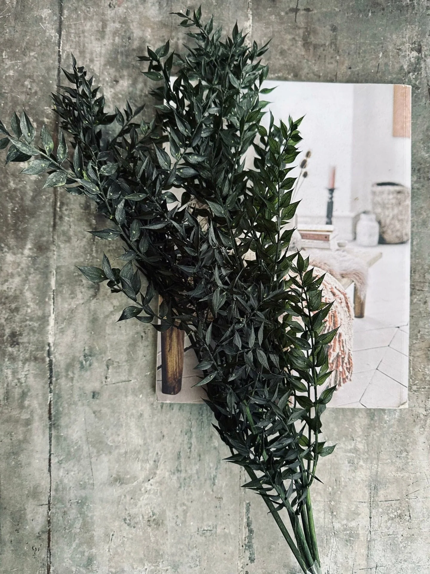 Tørkede blomster – Dark green ROSSA