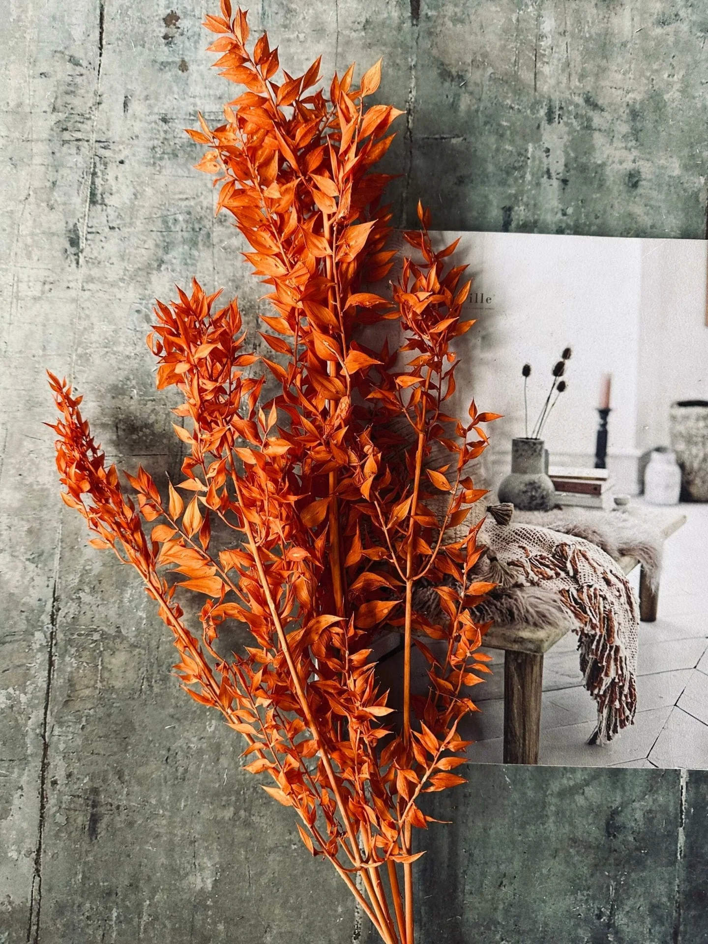 Tørkede blomster – Oransje