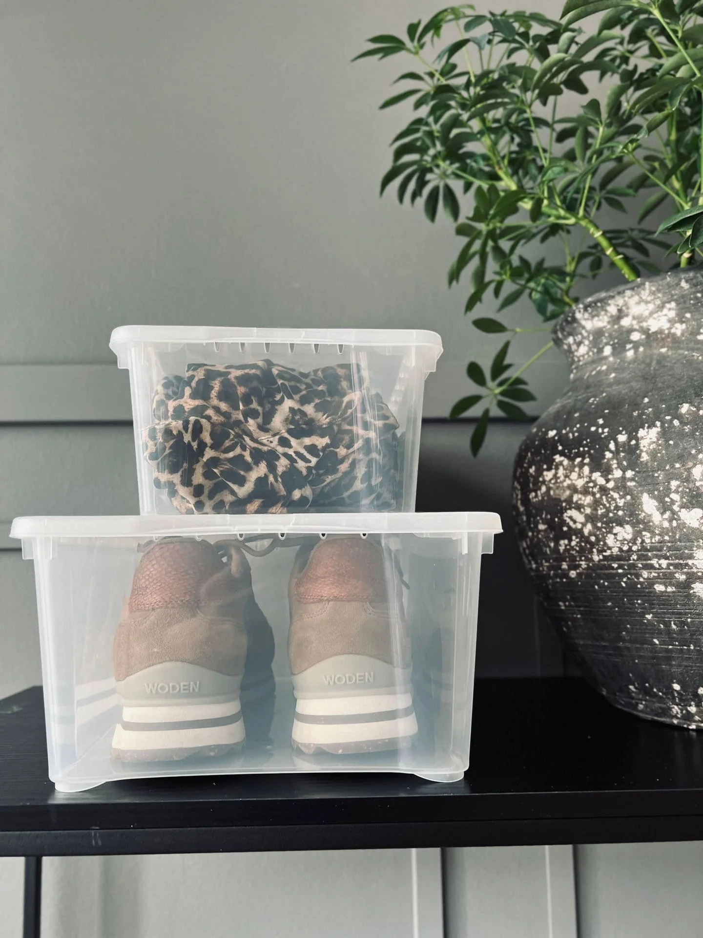 Transparent kasse med lokk - Medium