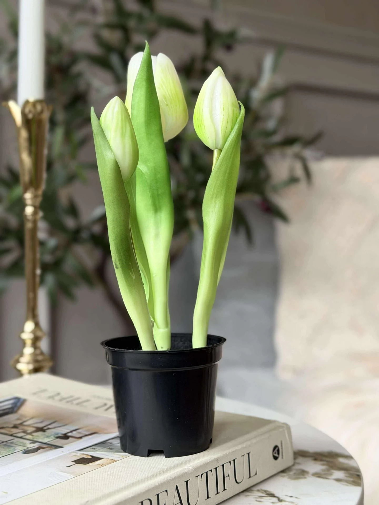 Tulipan i potte - Hvit med 3 blomster - Image 4
