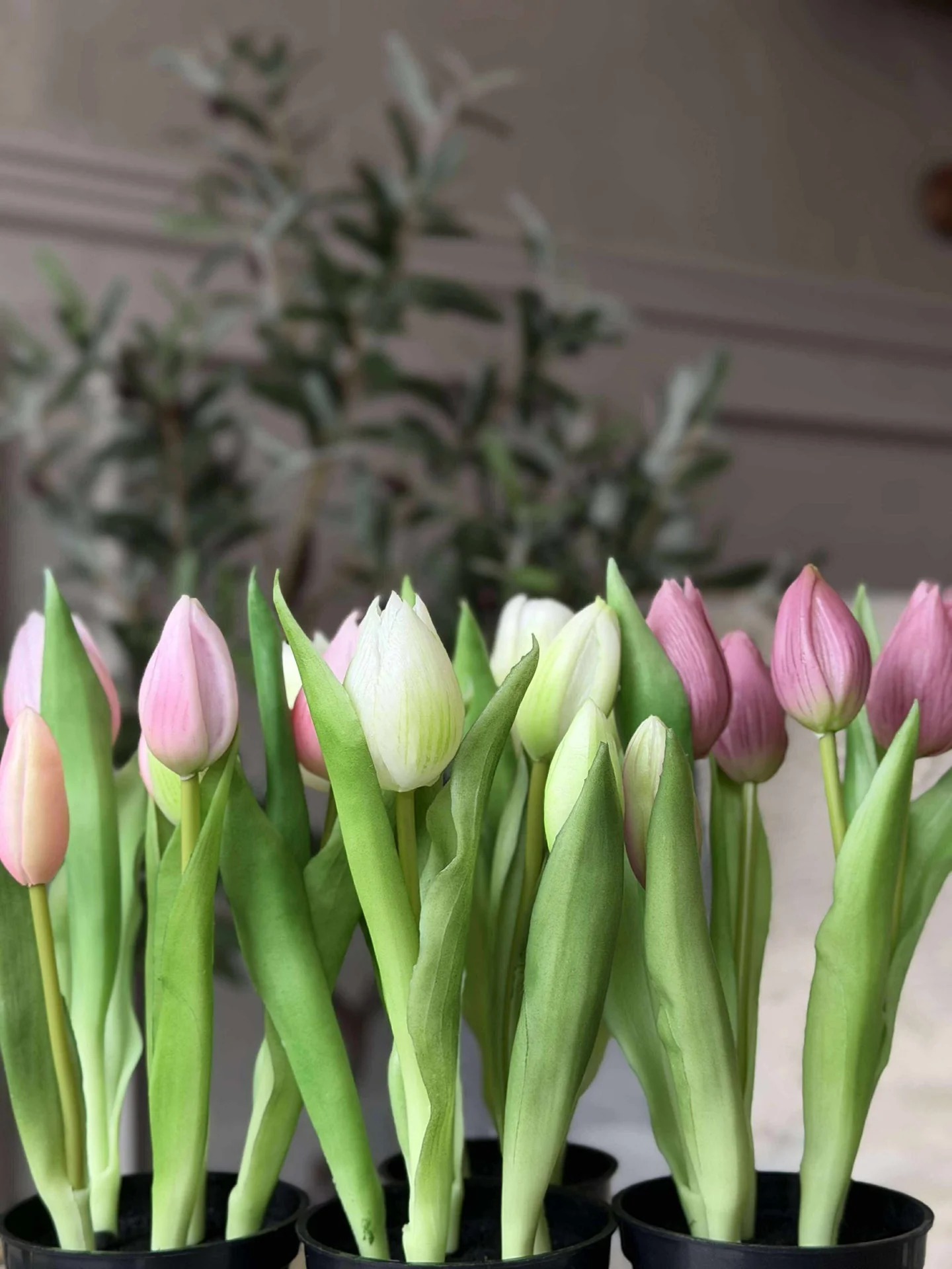 Tulipan i potte - Mørk rosa - Image 8