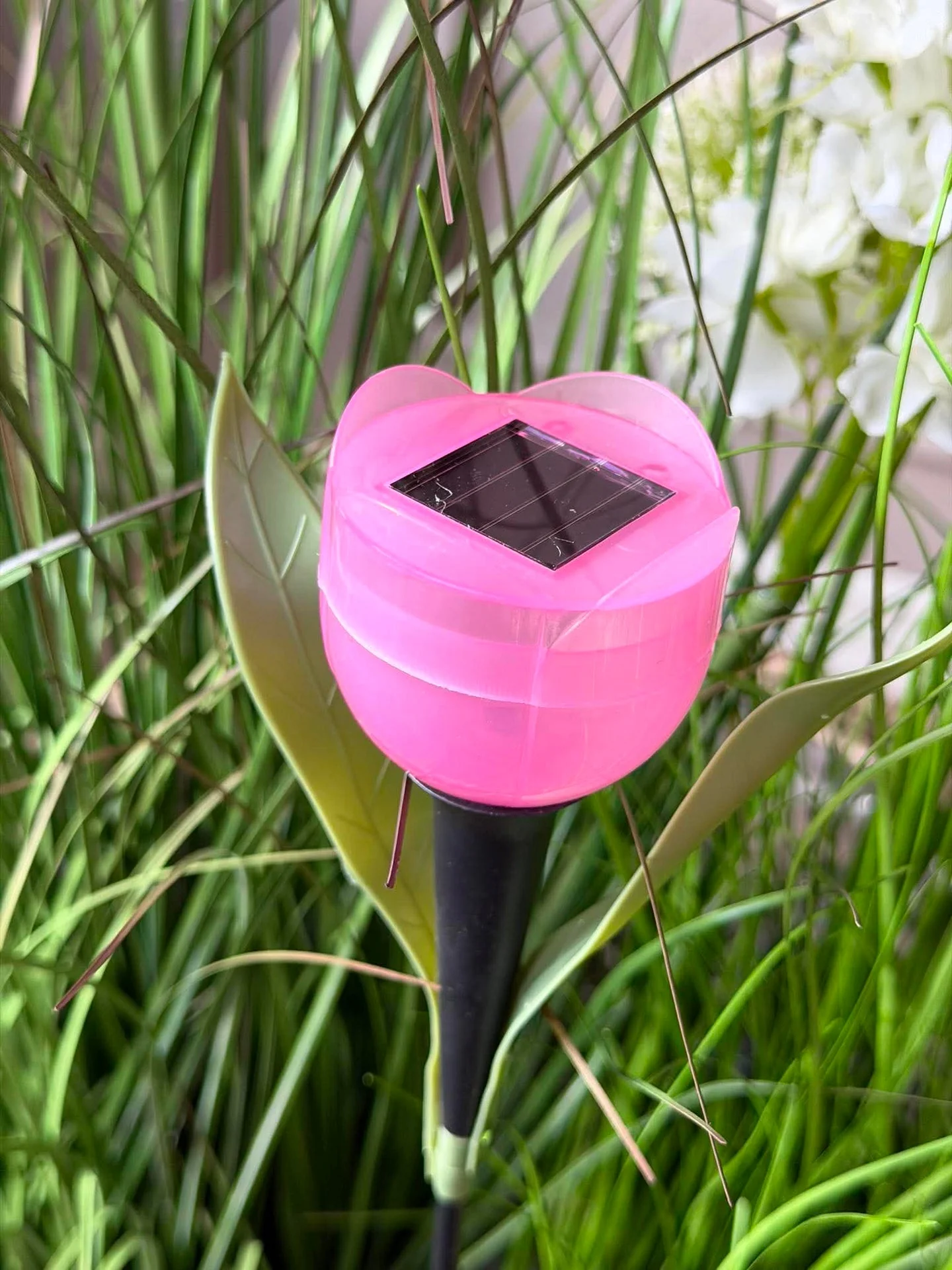 Tulipan Solar - Flere farger - Image 8