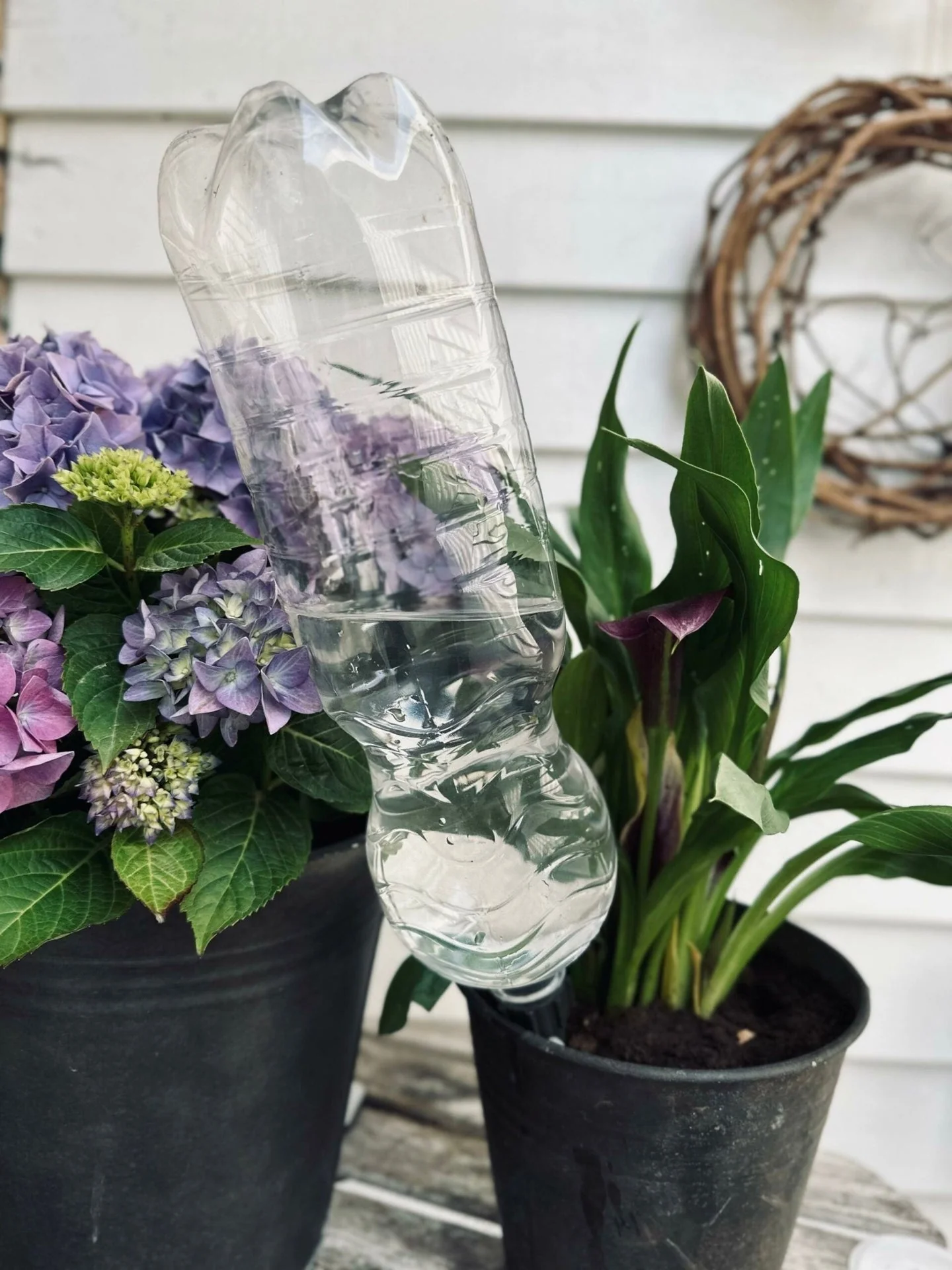 Spyd til vanning av blomster – Sett med 4 stk