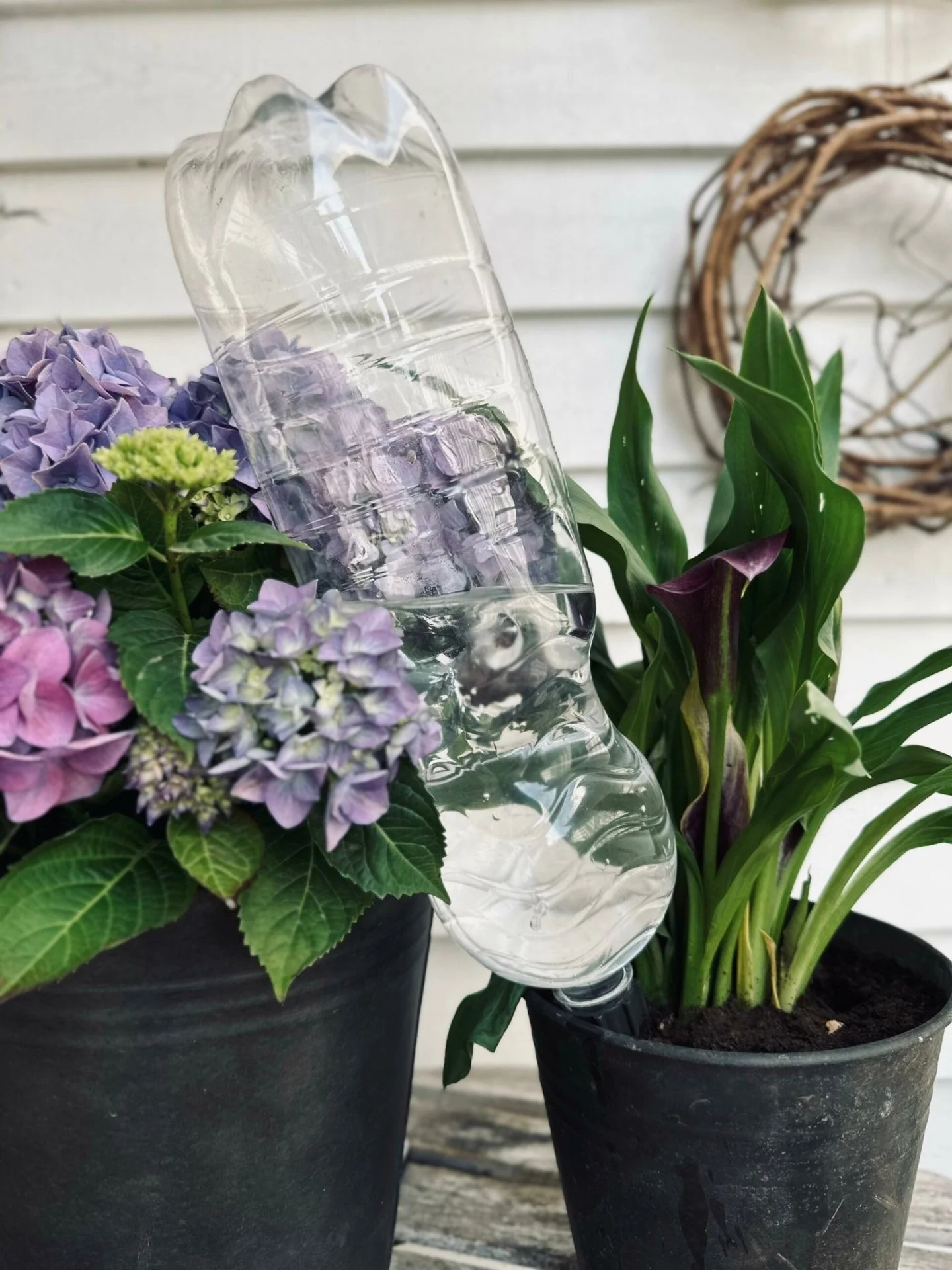 Spyd til vanning av blomster – Sett med 4 stk - Image 3