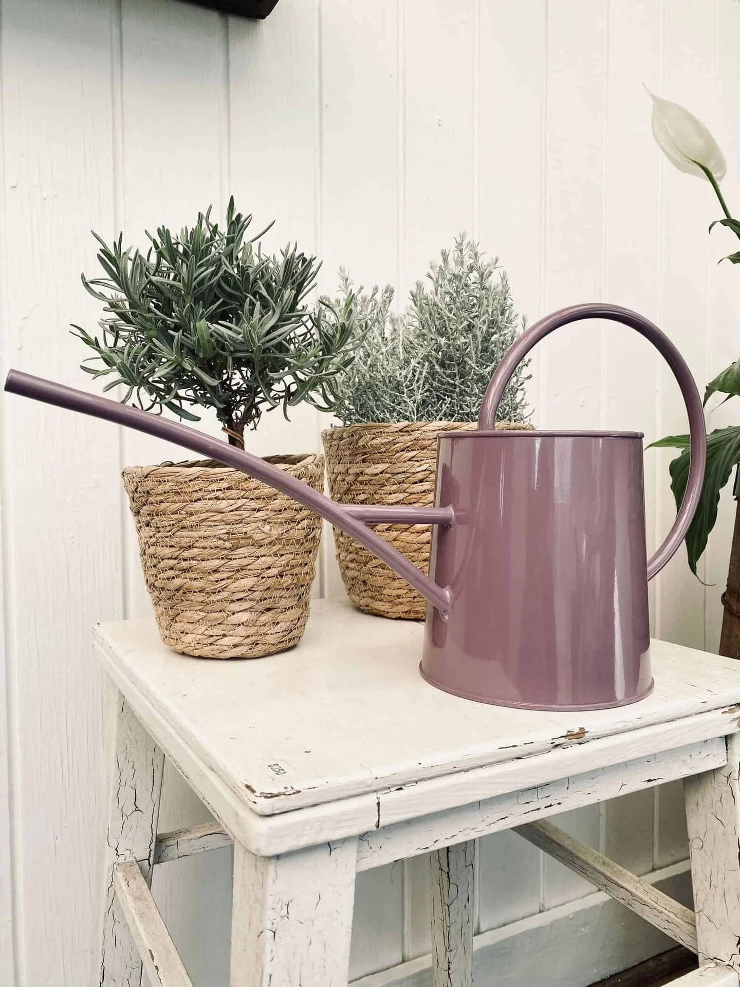 Vannkanne – Lyng 1,5 Liter - Image 2