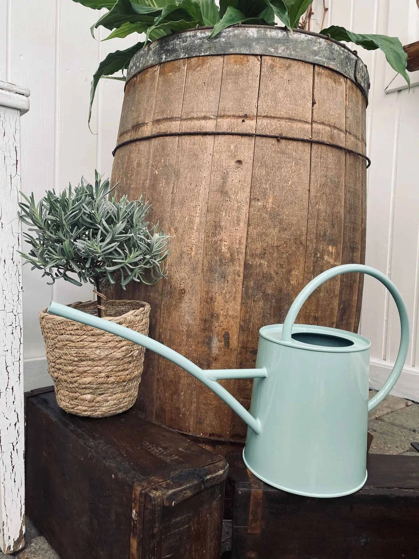 Vannkanne – Lys blå pastell 1,5 liter