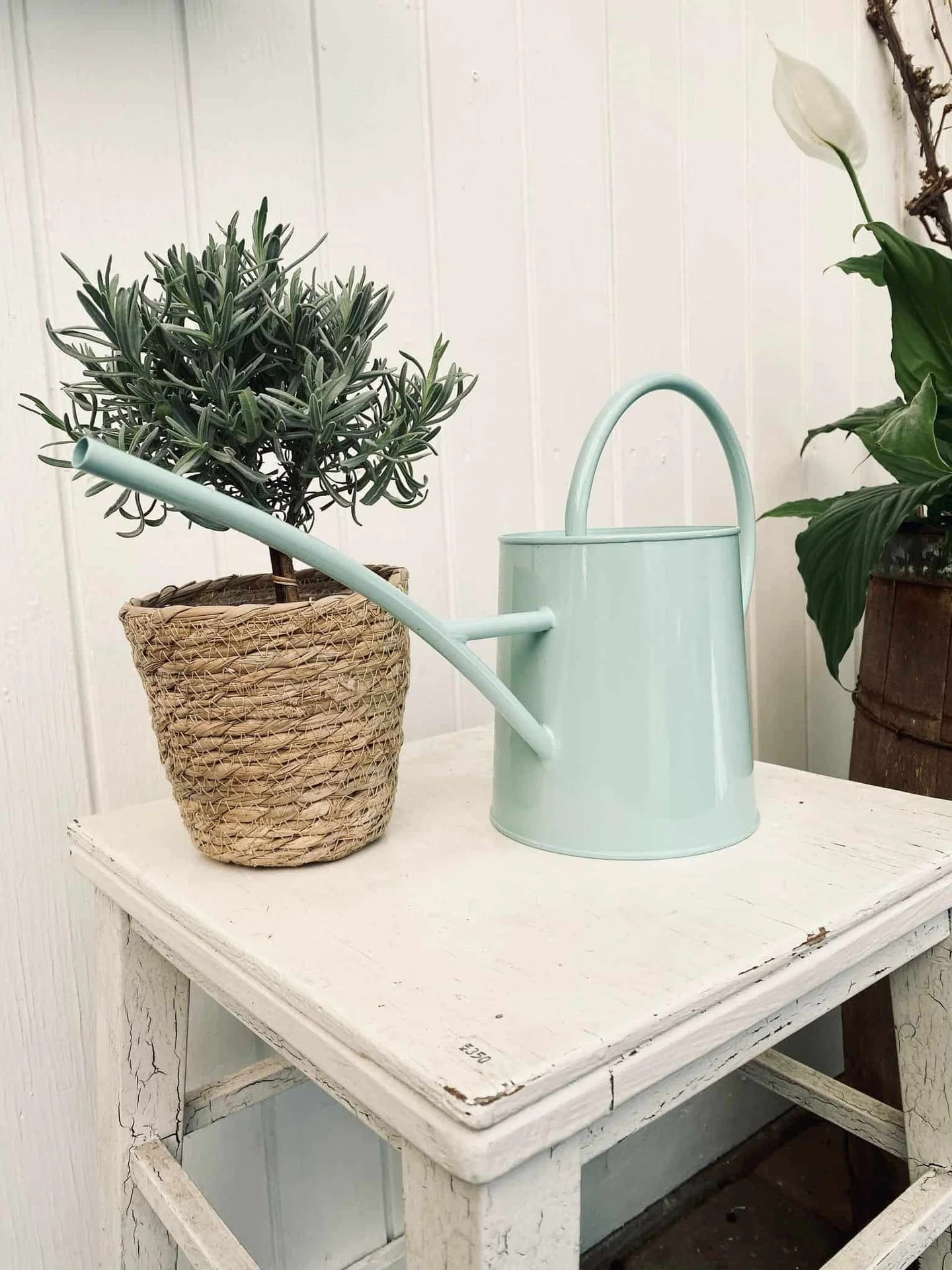 Vannkanne – Lys blå pastell 1,5 liter - Image 2